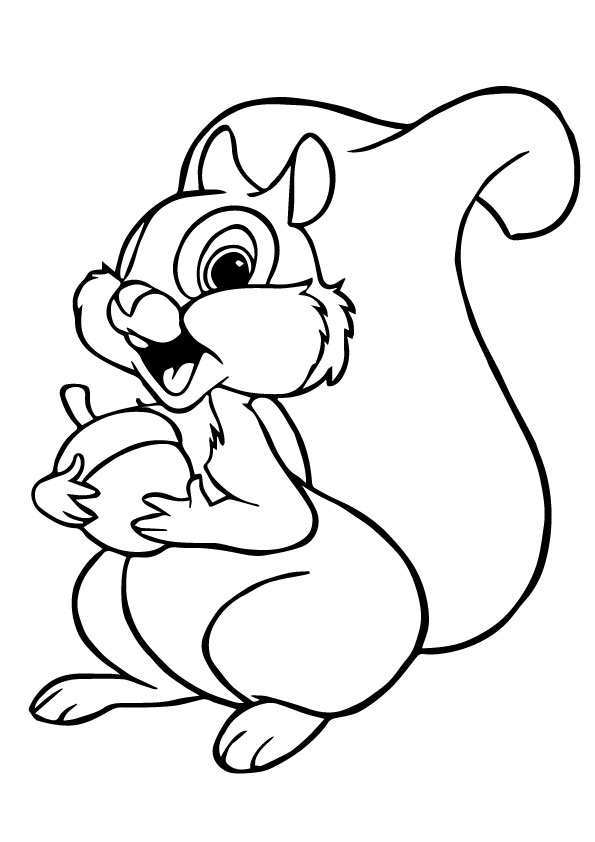 Squirrel Coloring Page