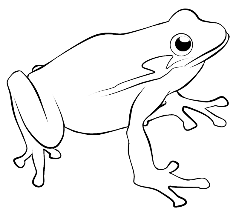 Toad Coloring Page