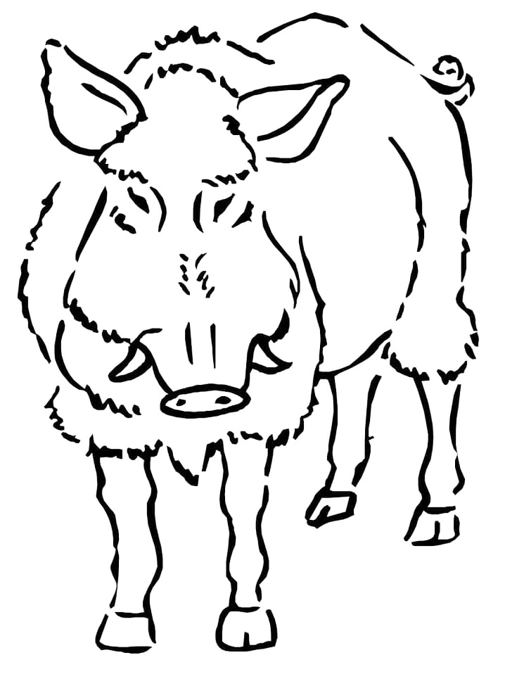 Wild Boar Coloring Page