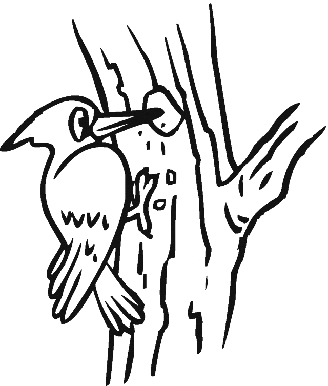 Woodpecker Coloring Page