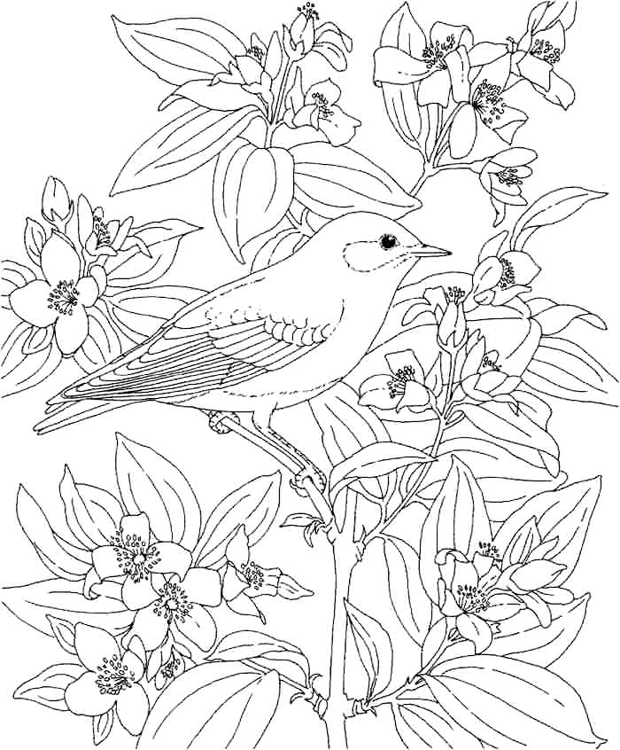 Bird In The Flowers Coloring Page