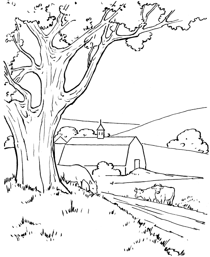 Farm Landscape Coloring Page For Seniors