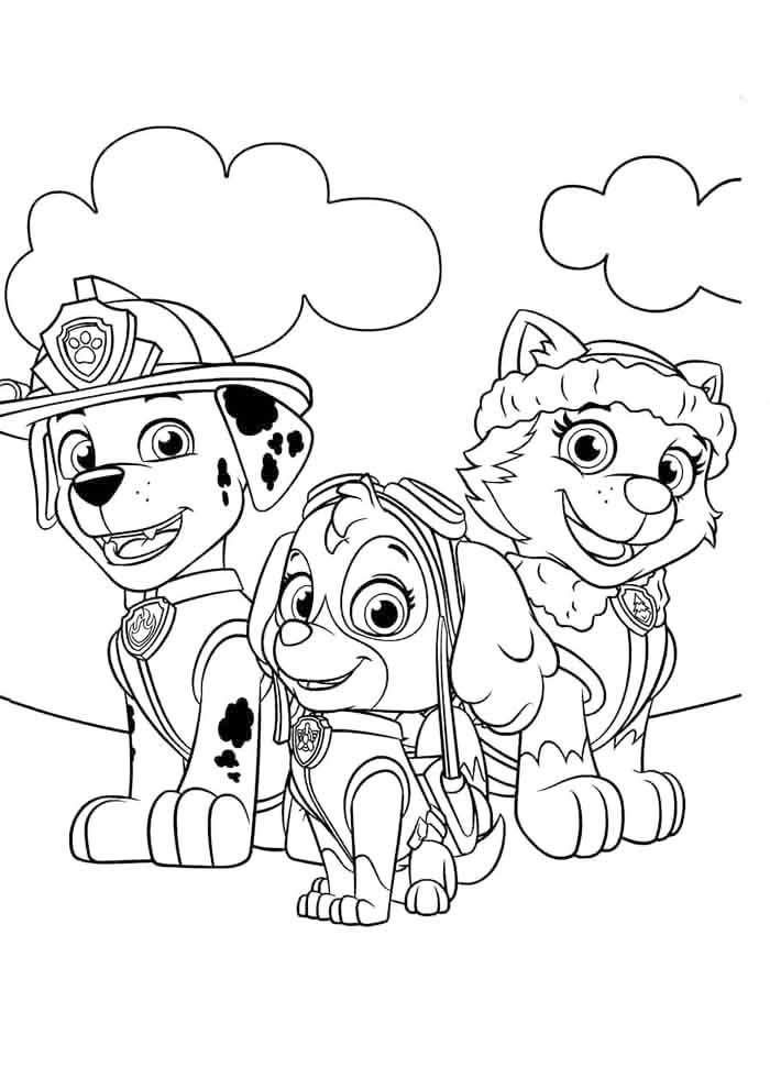 Paw Patrol Characters Coloring Sheet