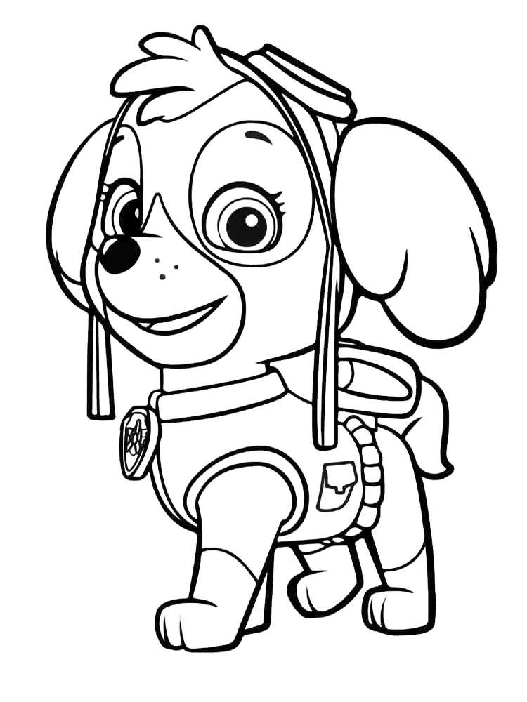 Skye Is Ready Coloring Page