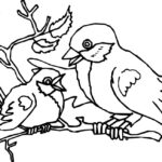 Mom And Baby Bird Coloring Page