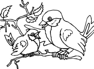 Mom And Baby Bird Coloring Page